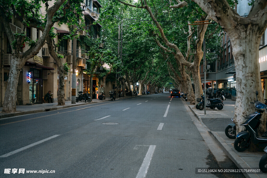 静谧的城市一角