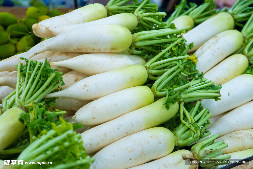 新鲜白萝卜堆叠展示