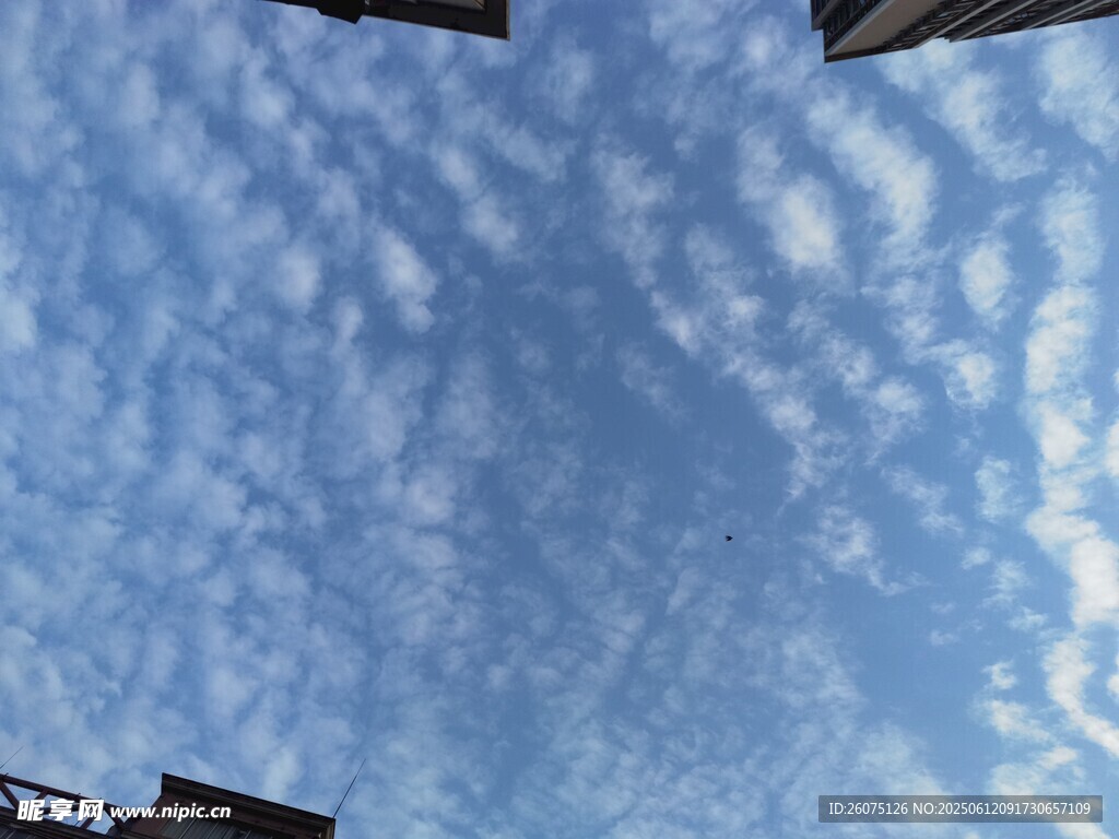 晴朗天空下的建筑一角