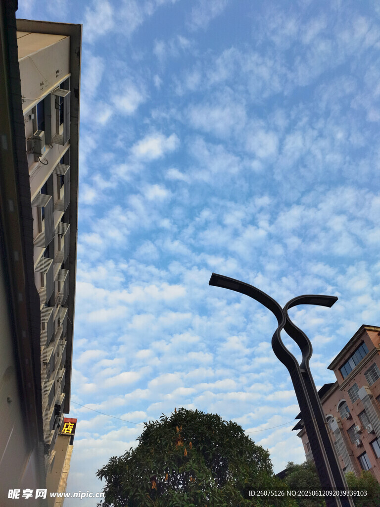 城市街道的天空与路灯景观