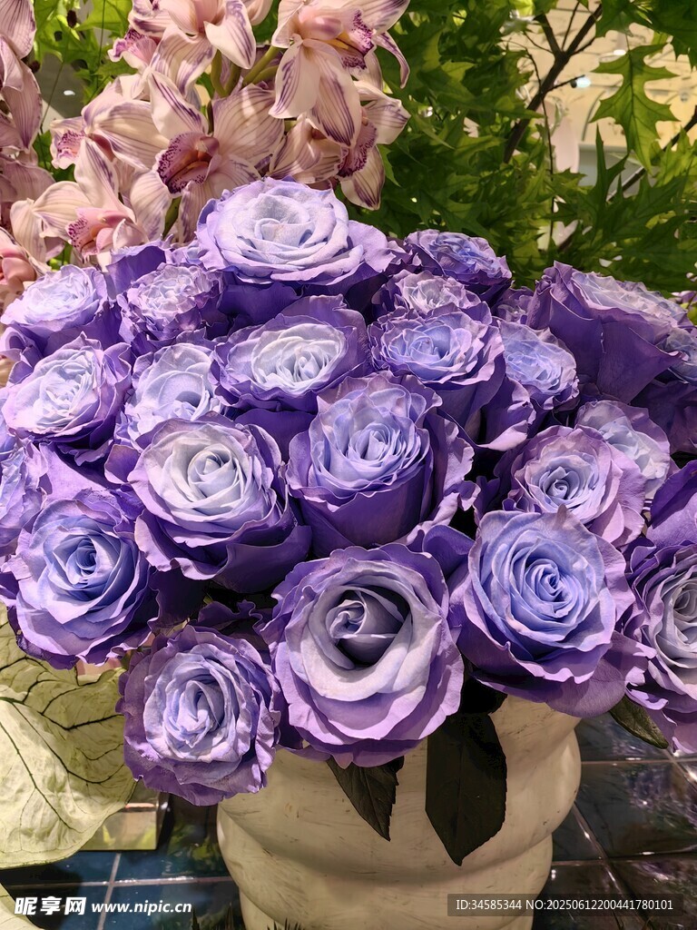 紫色洋牡丹花束特写