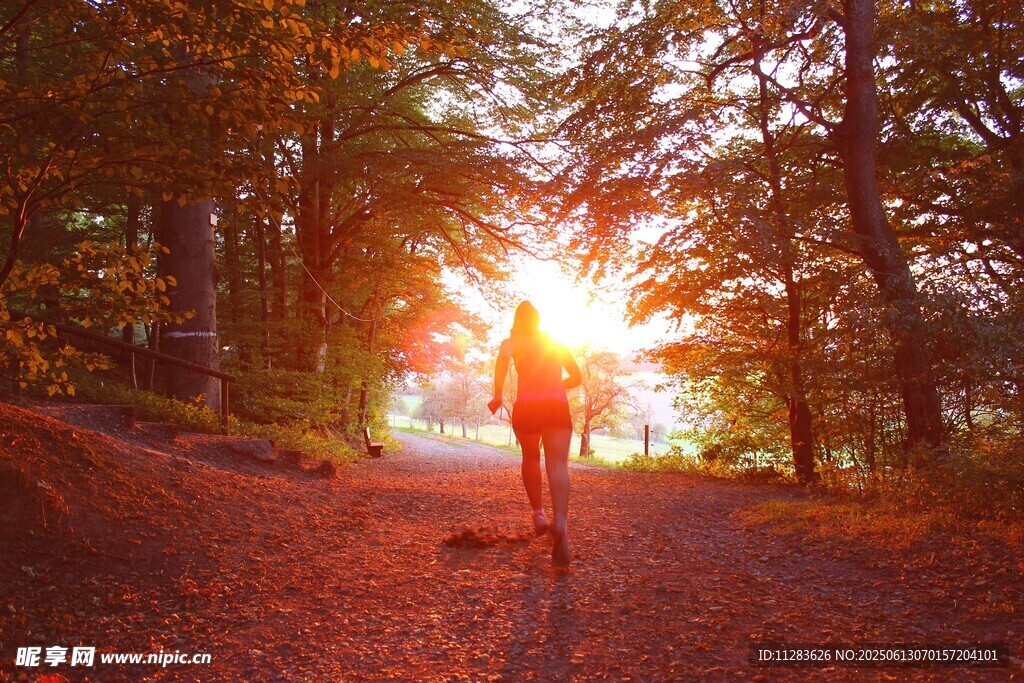 秋日林间漫步的阳光身影