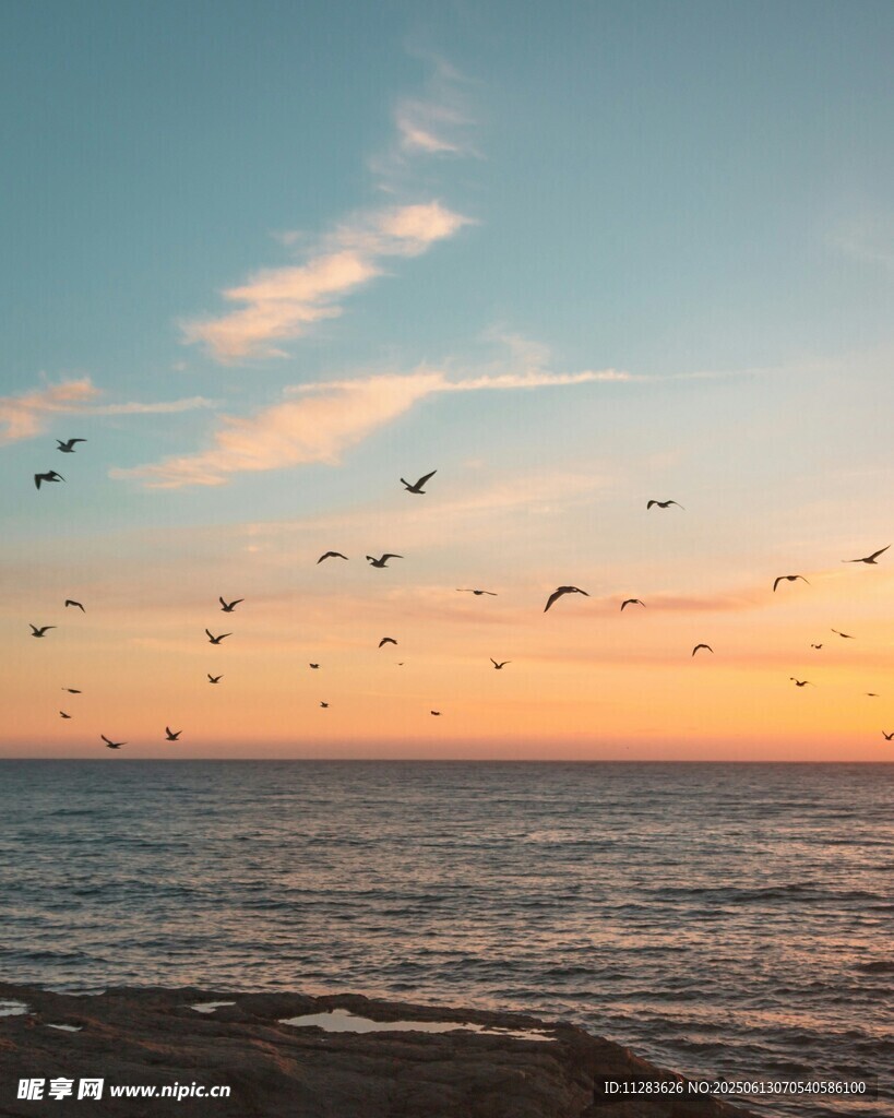 海边日落飞鸟美景