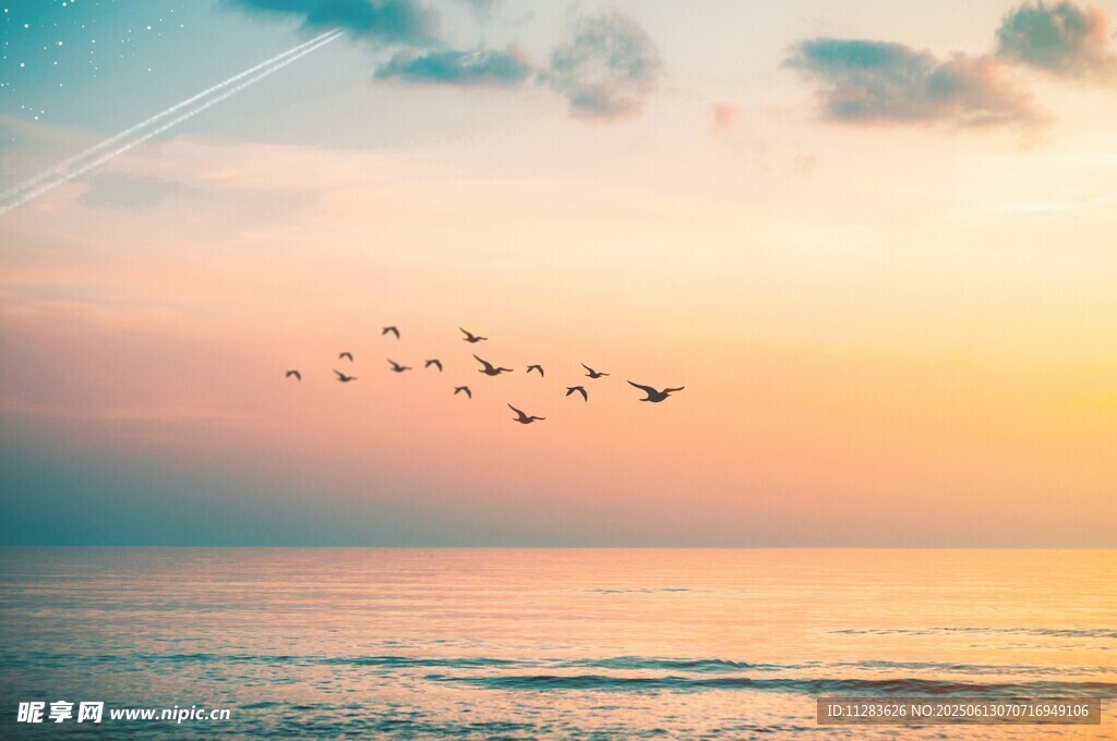夕阳下飞鸟掠过海面