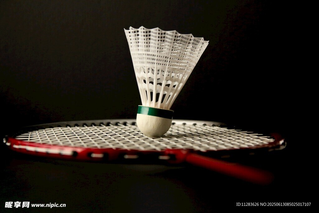 羽毛球拍与羽毛球特写