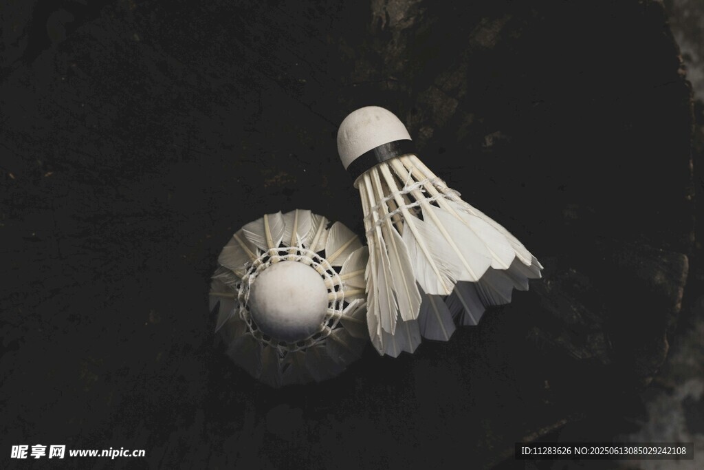 羽毛球与球托的静物特写