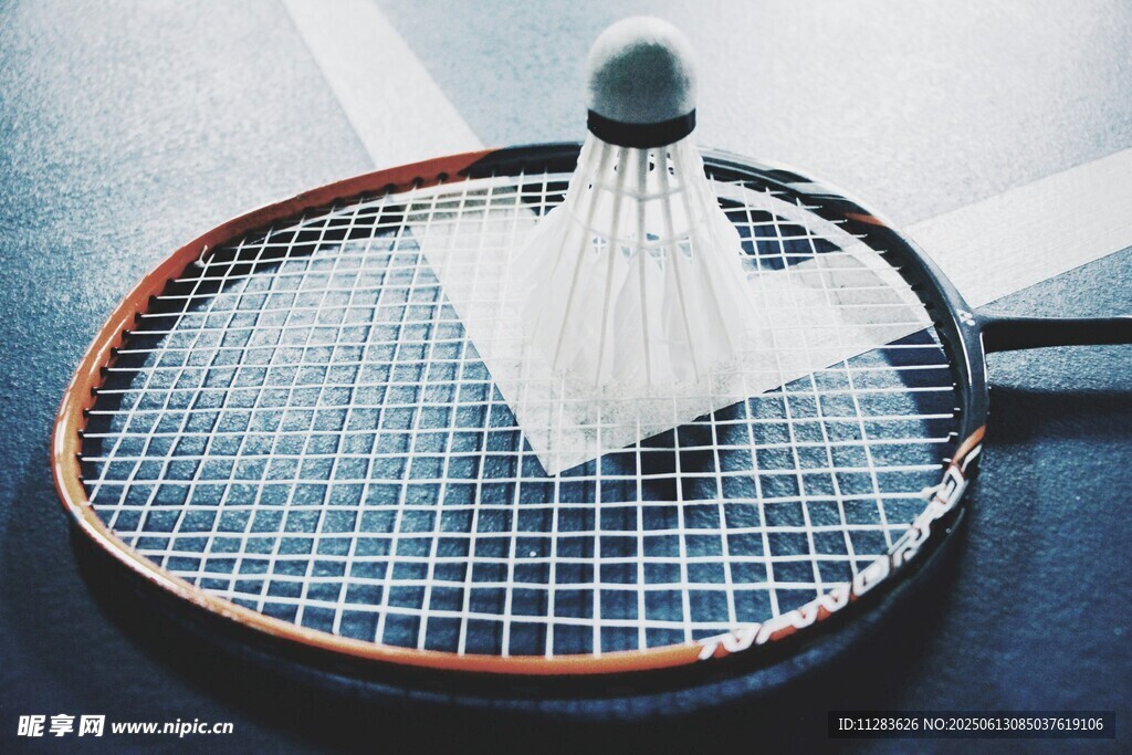 羽毛球拍与羽毛球特写