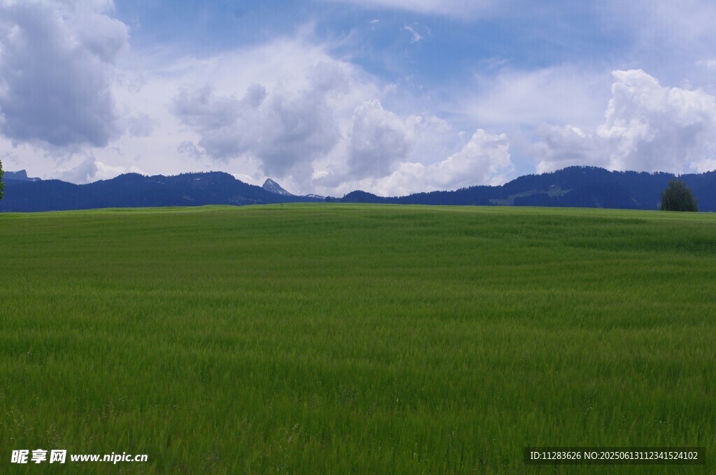 广袤草原与远处山峦