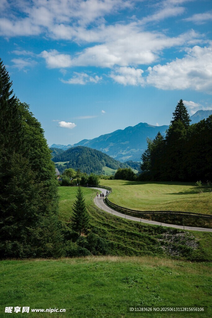 山间绿野风景