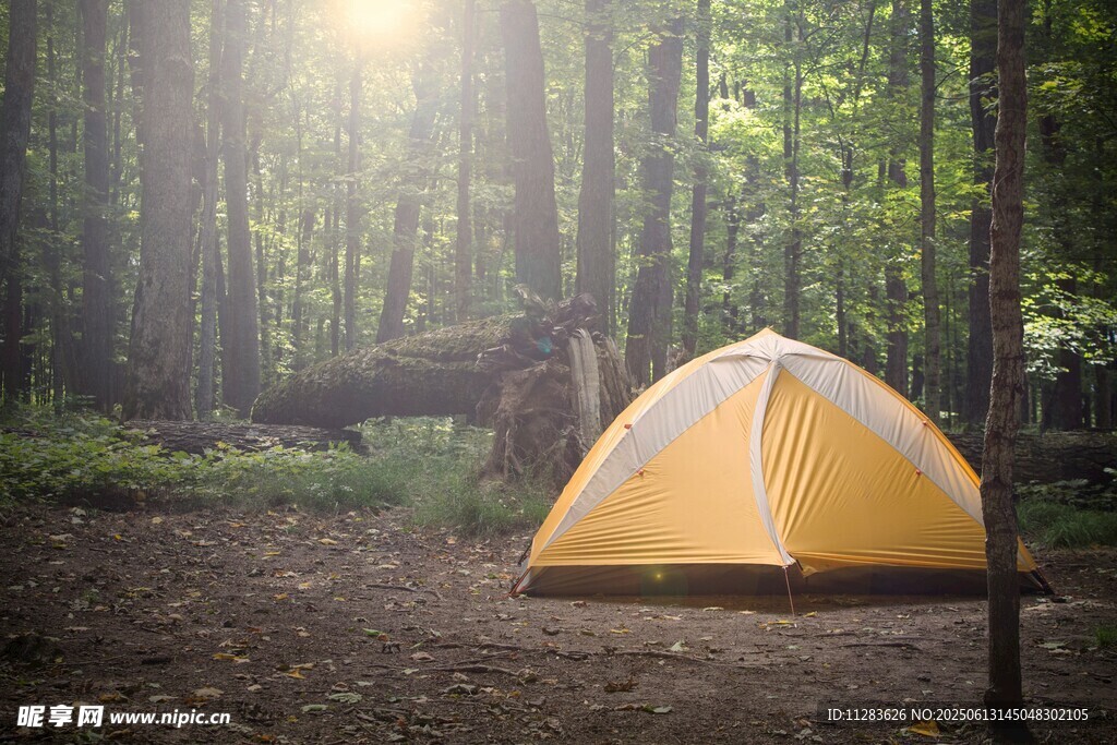 森林中露营的黄色帐篷