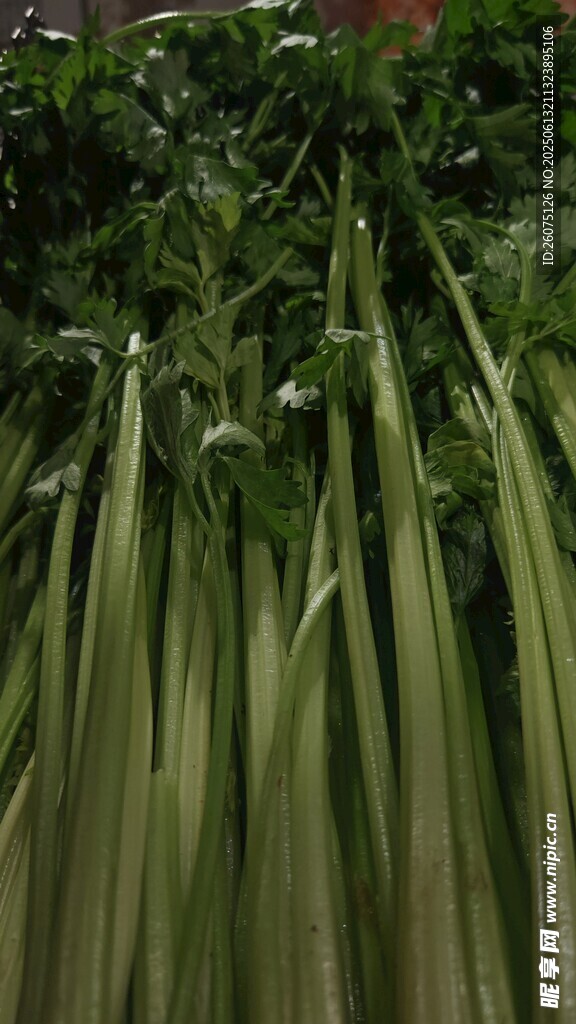 翠绿细长的芹菜