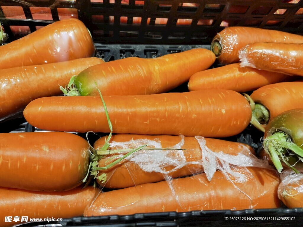 新鲜胡萝卜整齐摆放