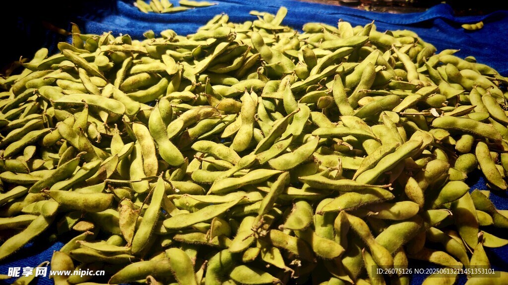 大量鲜黄色豆角堆成小山