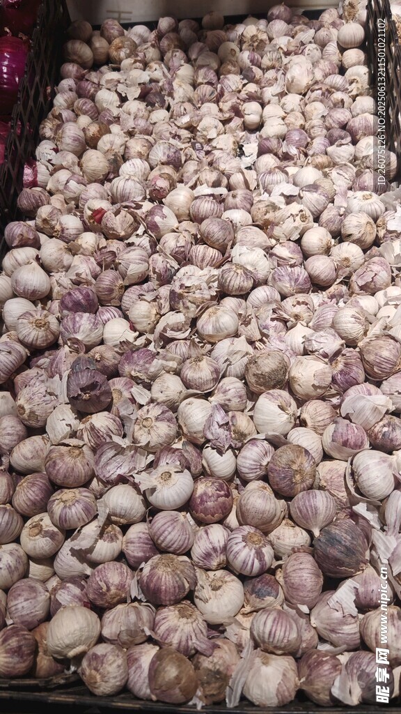 大量新鲜大蒜堆放在一起
