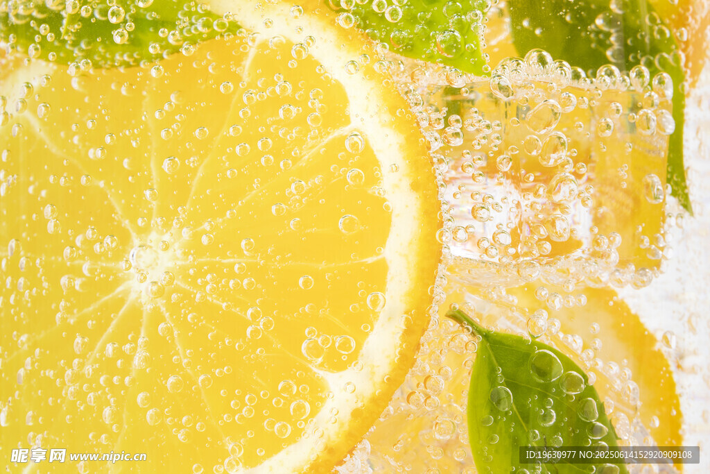 鲜切柠檬与薄荷叶的清新组合