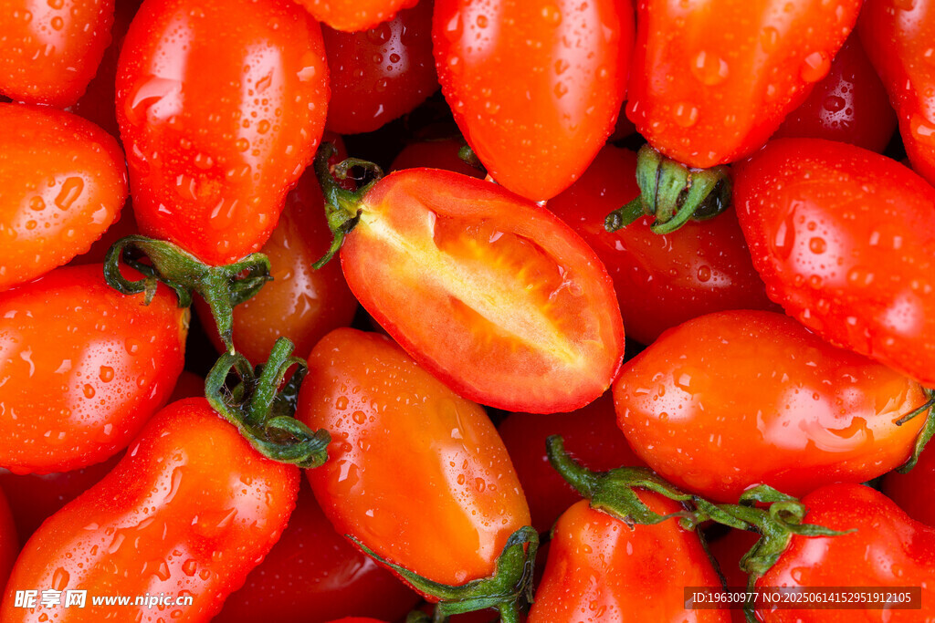 饱满诱人的小番茄