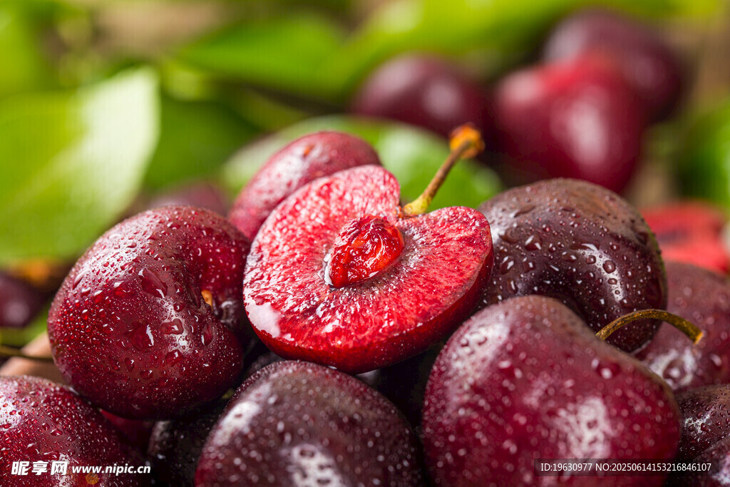 新鲜诱人的紫樱桃特写