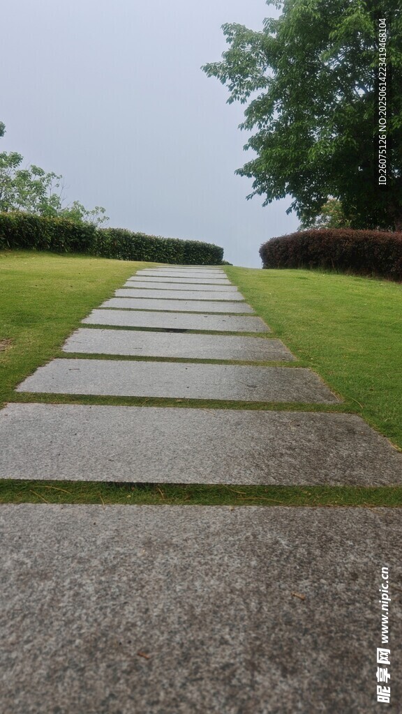 雨后静谧的石板路