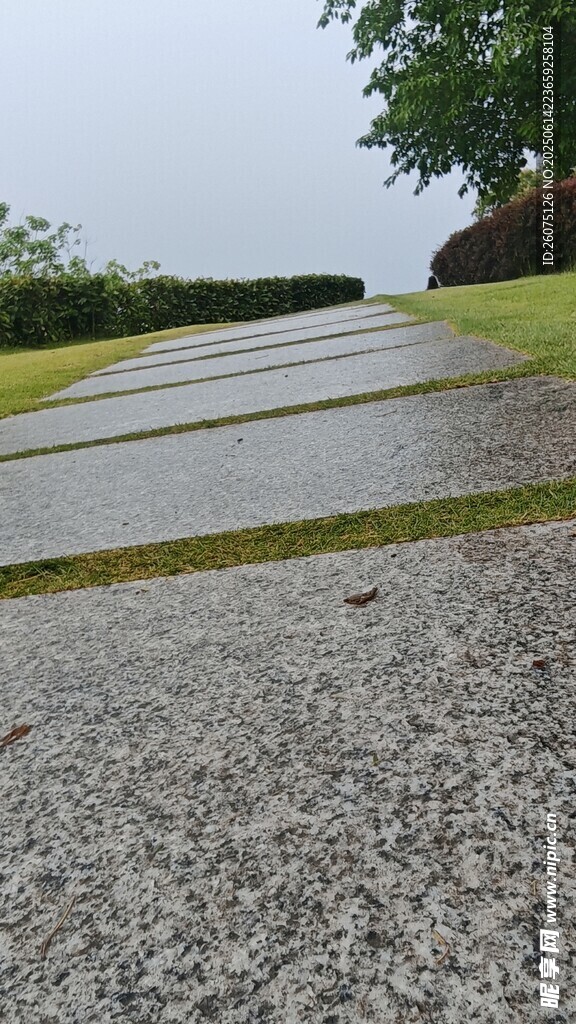 雨后湿润的户外石板路面