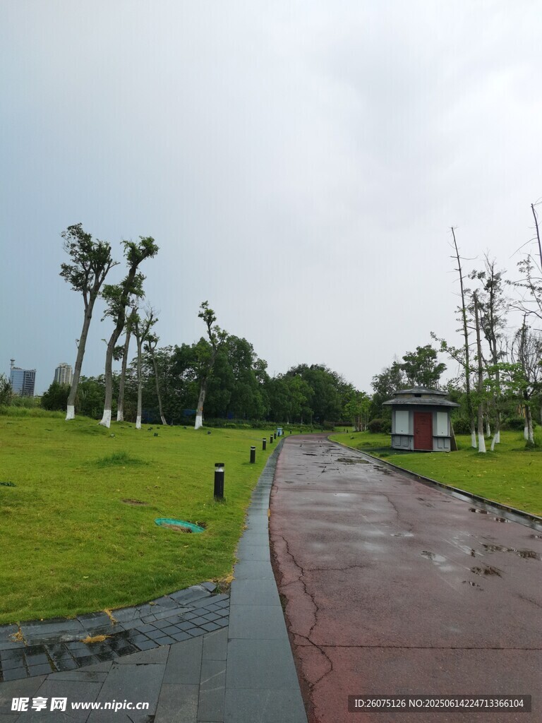 雨后公园小径与绿植景观