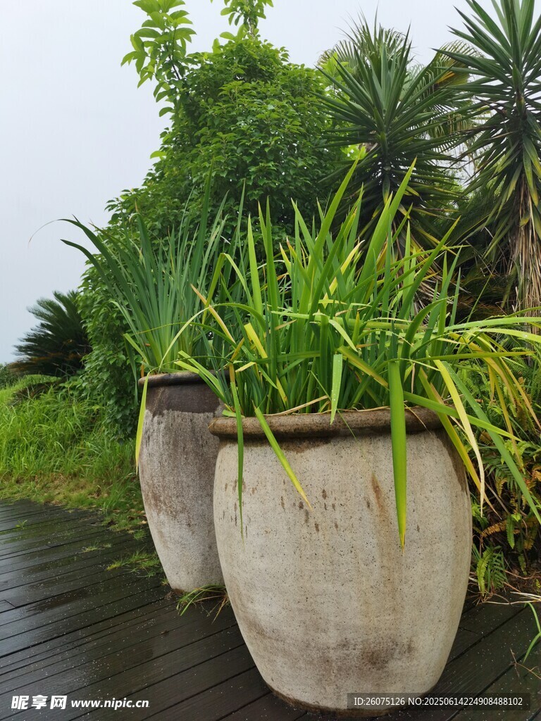户外绿植大花盆景观
