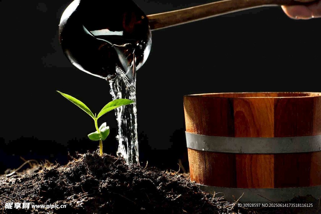 木勺浇水助幼苗成长