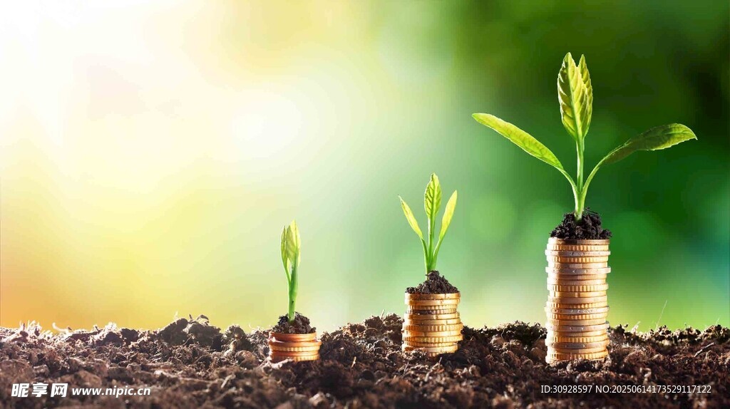 硬币上生长的绿色希望