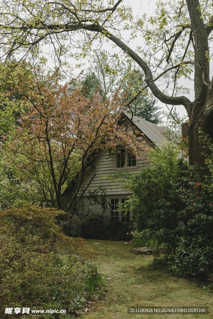 林间小屋