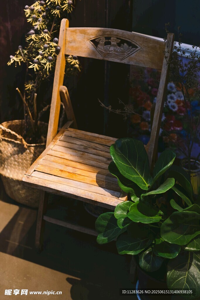 木质座椅旁的绿植景致