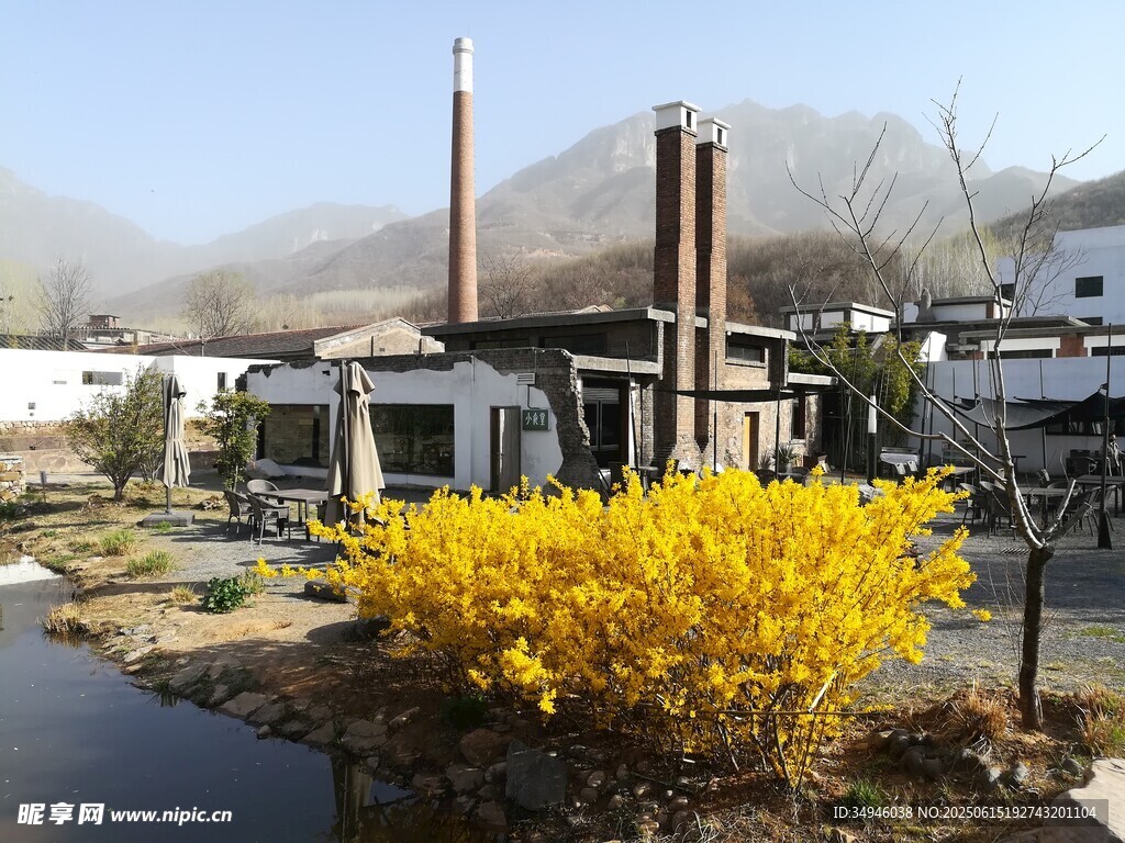 工厂旁绽放的黄色花卉