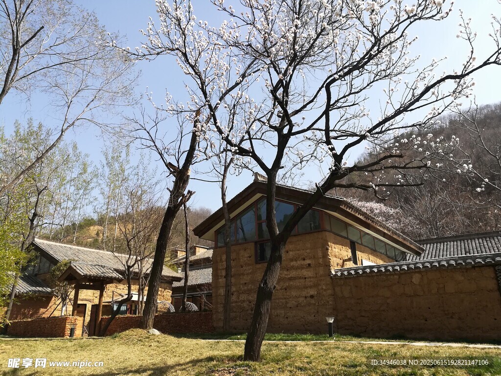 乡村古朴小屋与光秃树木