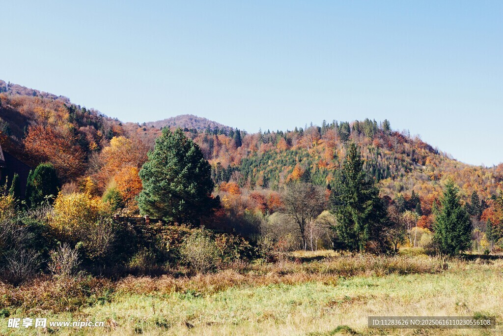 秋日山林美景