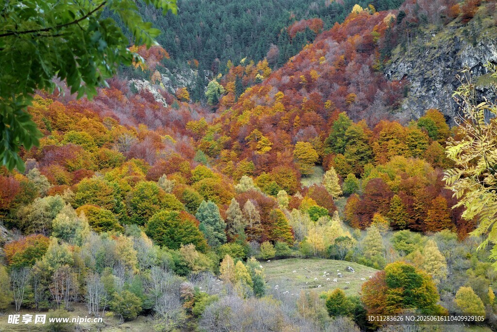 秋日山林斑斓美景