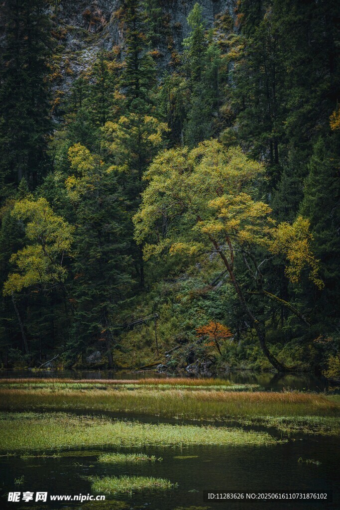 山林湖畔的静谧自然景致