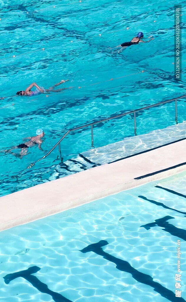 泳池中奋力游泳的运动员