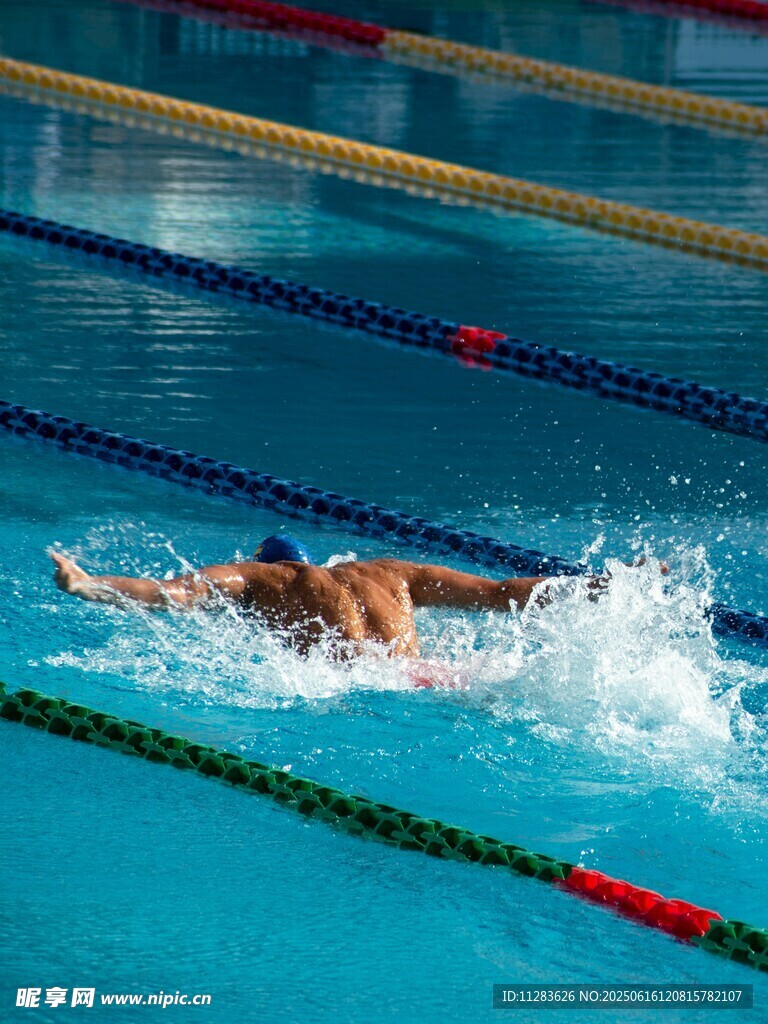 泳池中奋力游泳的运动员