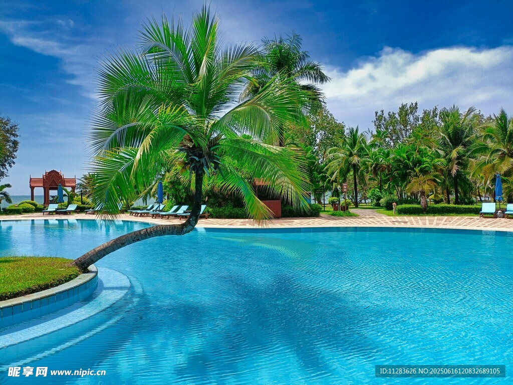 热带风情泳池美景