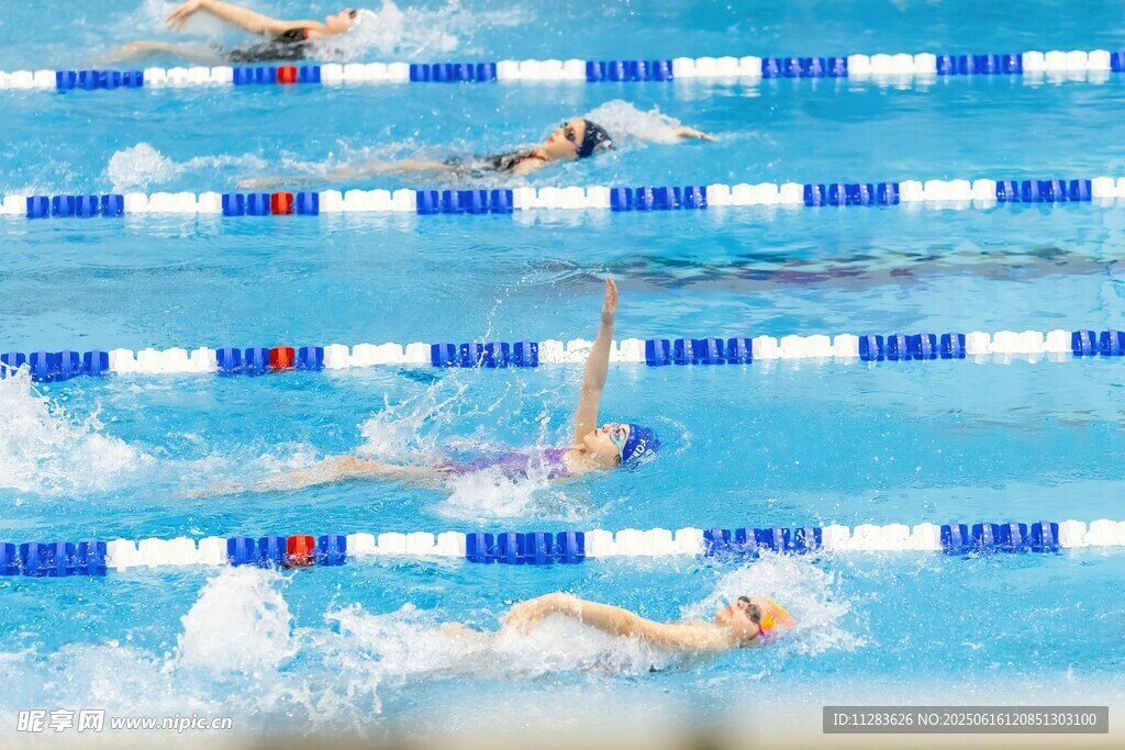 泳池中奋力游泳的运动员