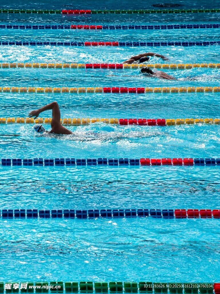 泳池中奋力游泳的运动员