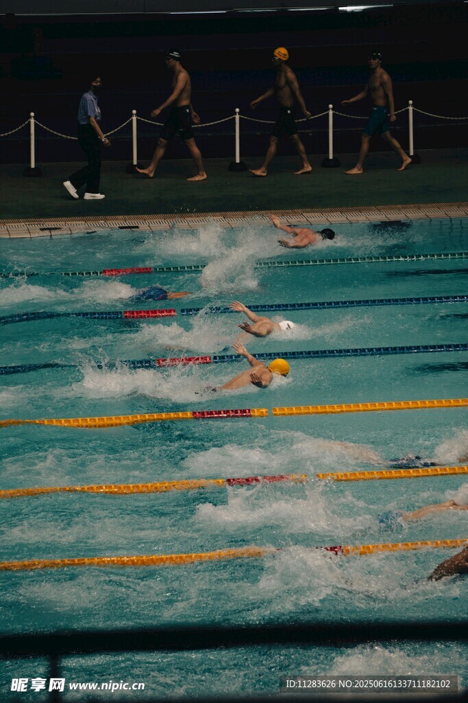 激烈泳池比赛瞬间