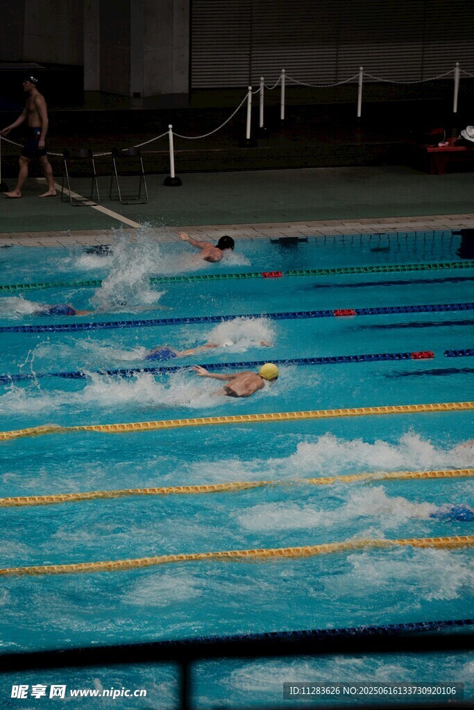 泳池中奋力游泳的运动员