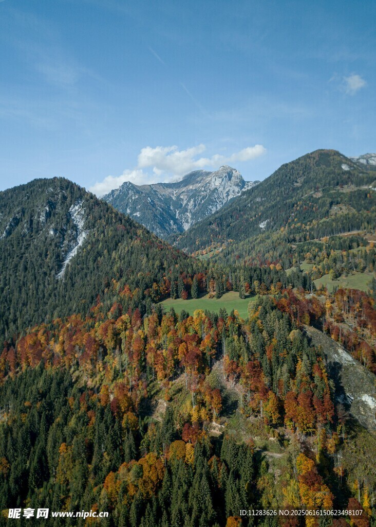 秋日山峦多彩森林美景