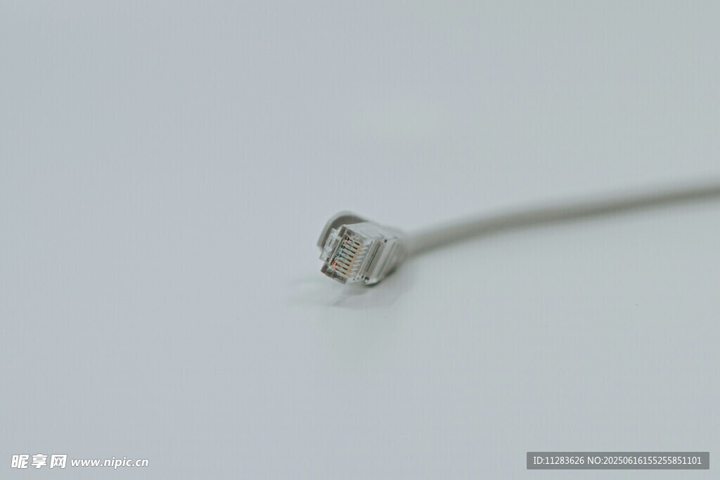 白色网线
