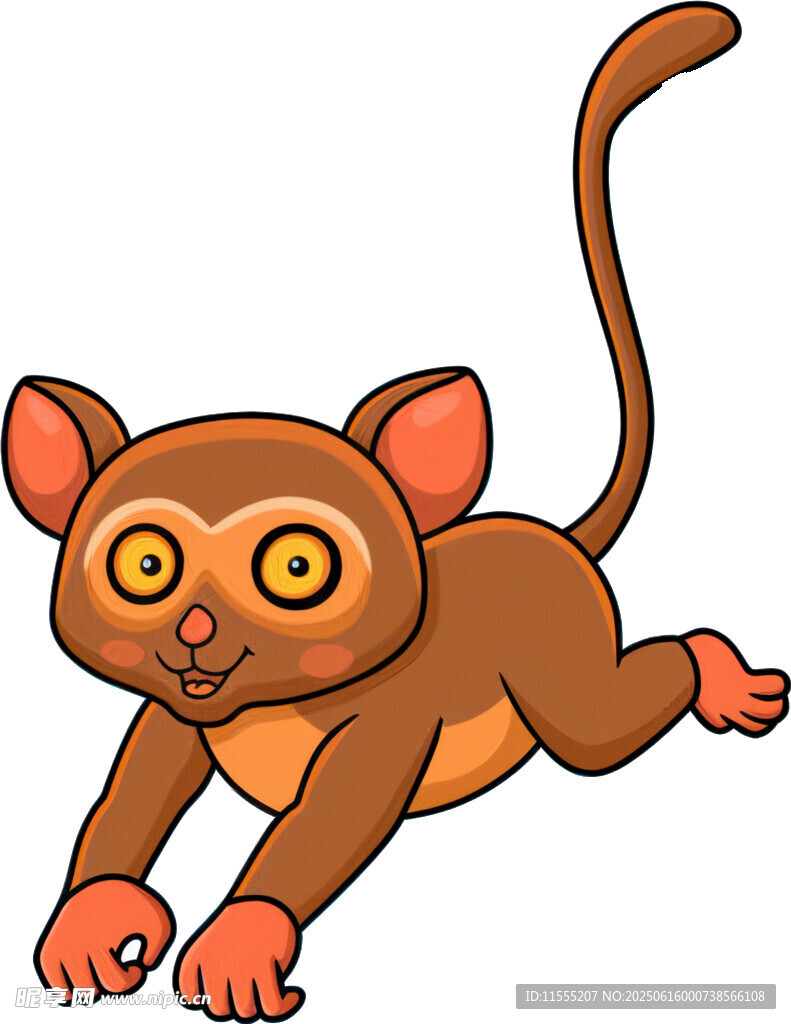跳跃的可爱小狐猴