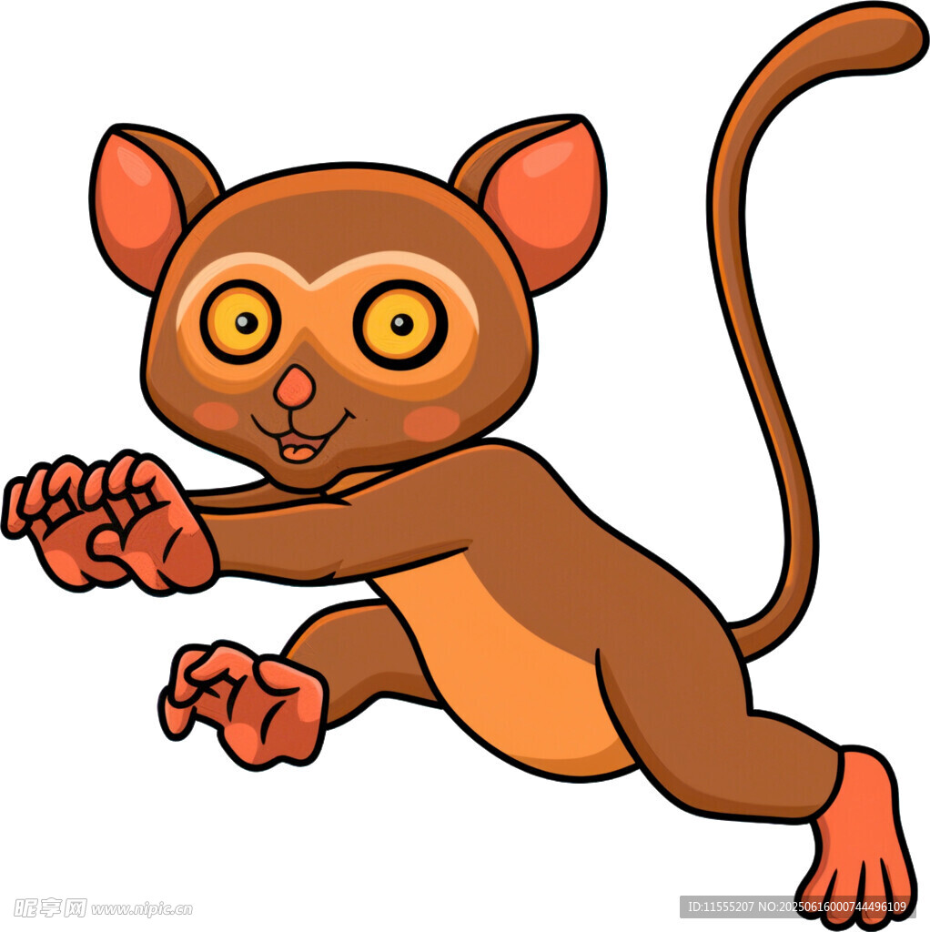 跳跃的可爱小狐猴