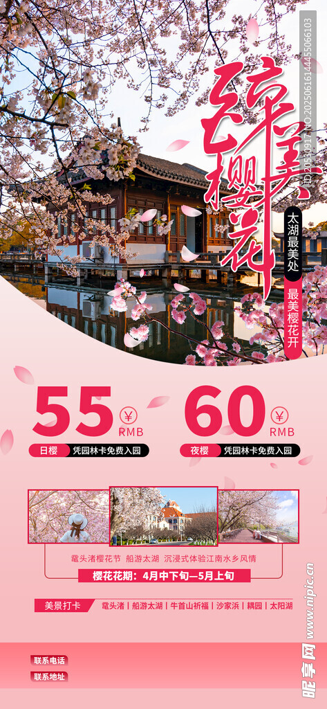旅游宣传赏樱季粉色简约大气海报