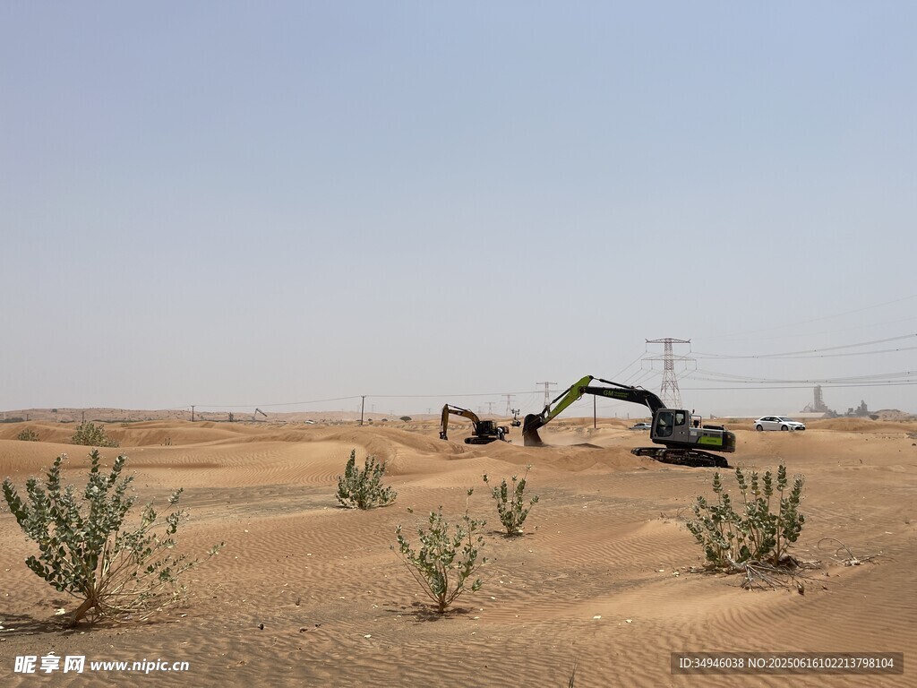 沙漠中的挖掘机与绿植