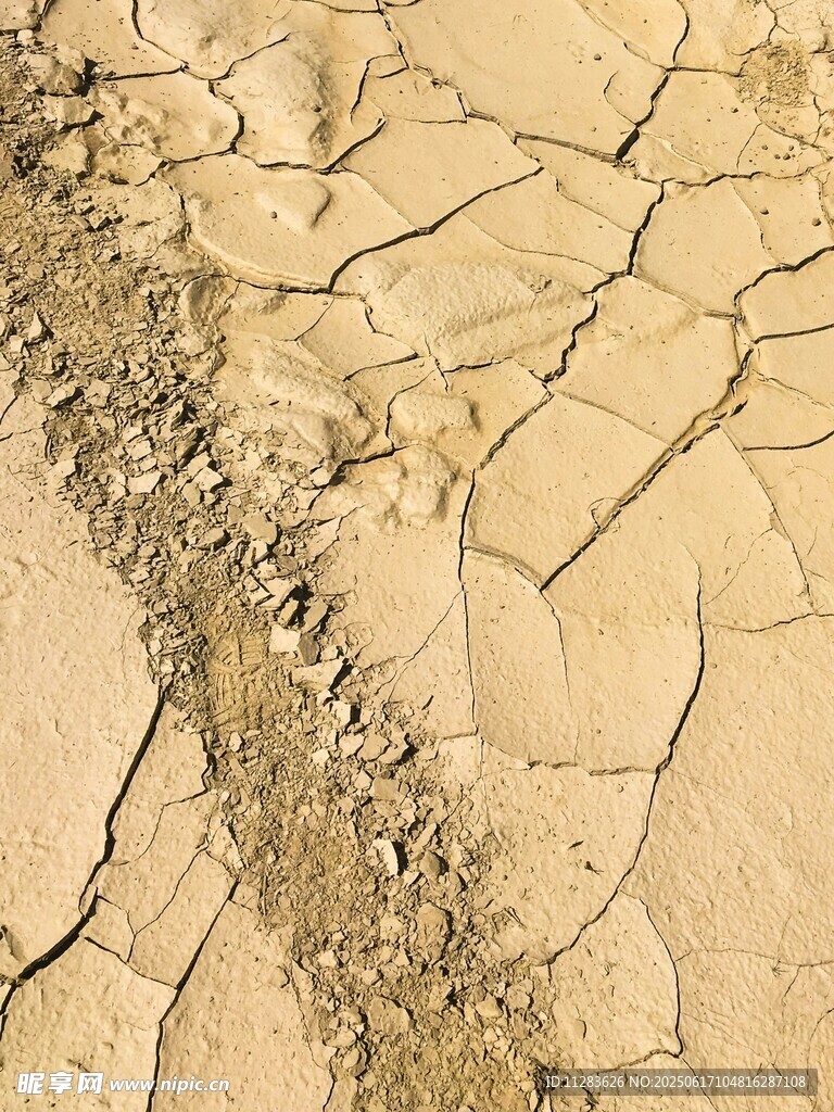 干裂土地上的痕迹