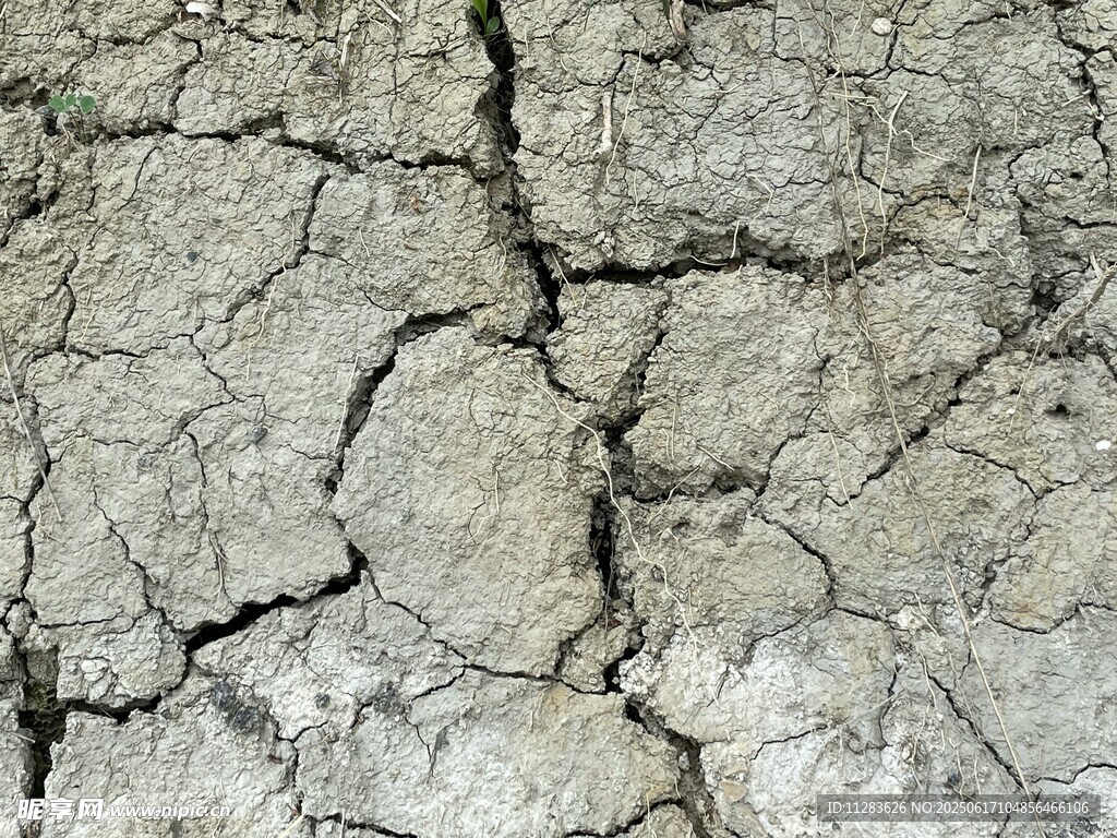 干裂的土地