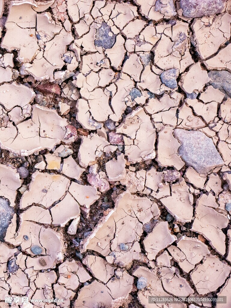 干裂土地纹理特写